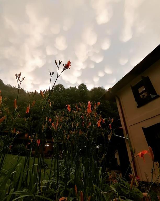 Guest House Verbena Apriltsi  Luaran gambar