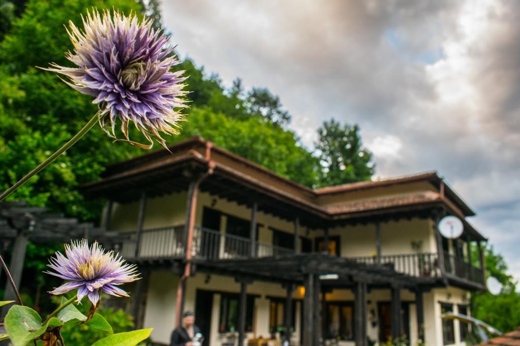 Guest House Verbena Apriltsi  Luaran gambar
