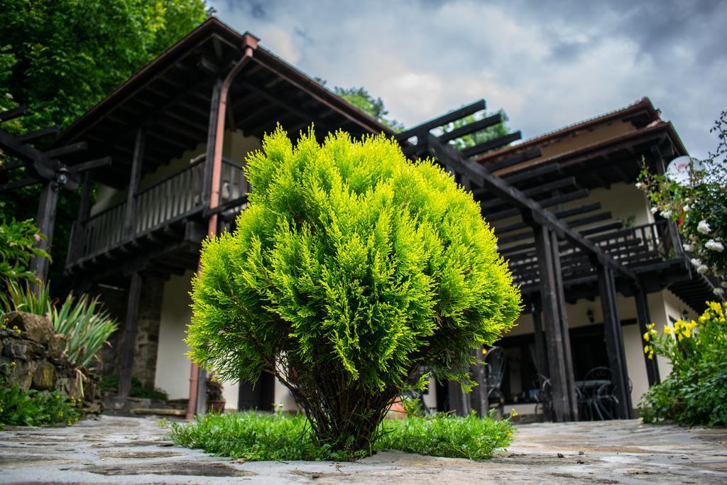 Guest House Verbena Apriltsi  Luaran gambar